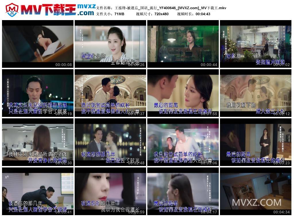 王泓锋-被遗忘_国语_流行_YF400646